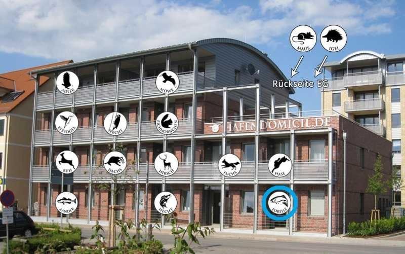 Hafendomicil Appartement Wh01 - Forelle Waren  Exteriör bild